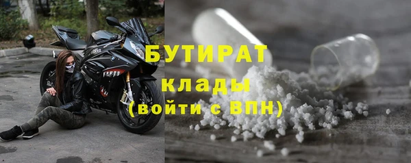 стаф Алексин
