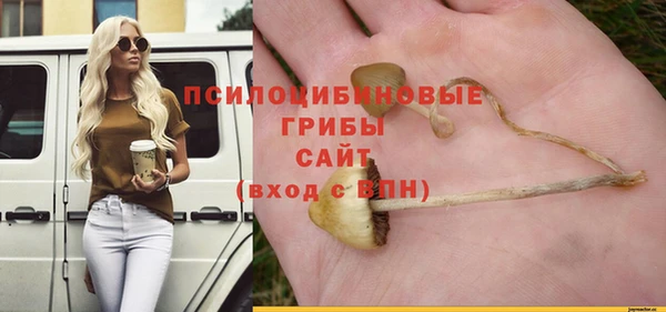 стаф Алексин