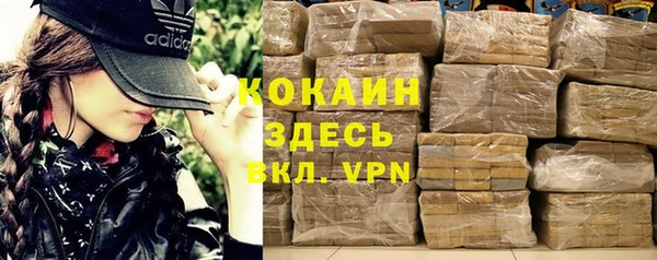 стаф Алексин