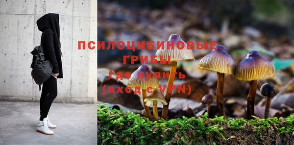 СК Алексеевка