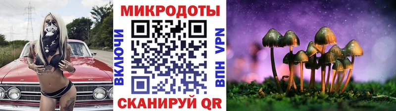 Псилоцибиновые грибы GOLDEN TEACHER кракен ссылки Дюртюли закладки
